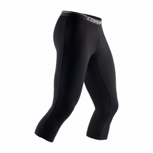 Термобрюки мужские Icebreaker Apex Leggings (100485001)