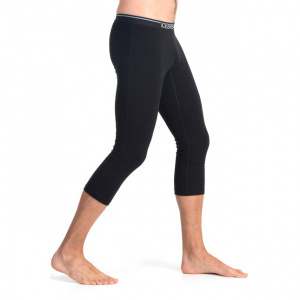 Термобрюки мужские Icebreaker Apex Leggings (100485001)