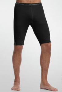 Шорты мужские Icebreaker Mens Sprint Shorts Black/Monson (102054001)