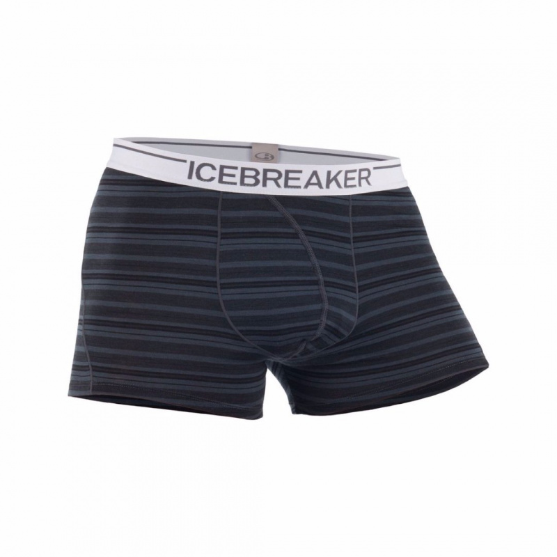 Трусы мужские Icebreaker Anatomica Boxers (100806D34)