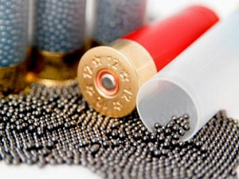 Выбираем боеприпас: весенняя охота на гуся Выбираем боеприпас: весенняя охота на гуся